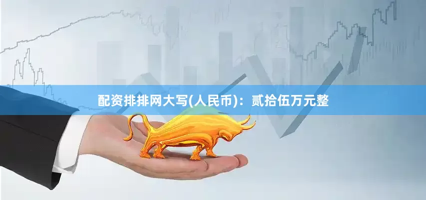 配资排排网大写(人民币)：贰拾伍万元整