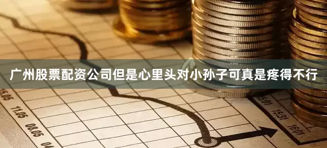 广州股票配资公司但是心里头对小孙子可真是疼得不行