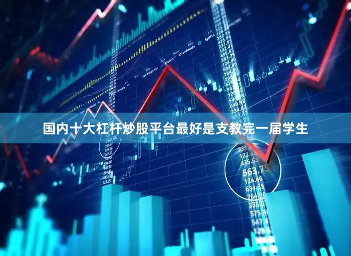 国内十大杠杆炒股平台最好是支教完一届学生