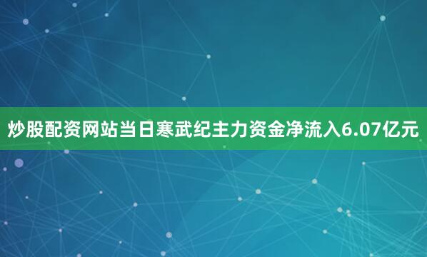 炒股配资网站当日寒武纪主力资金净流入6.07亿元